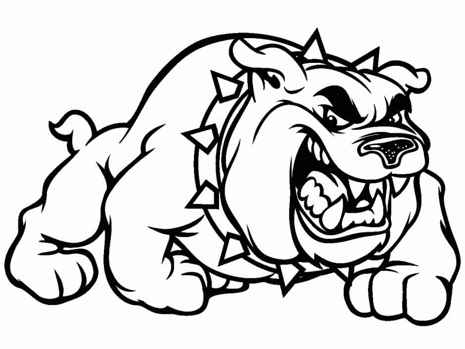 Bulldog Enojado