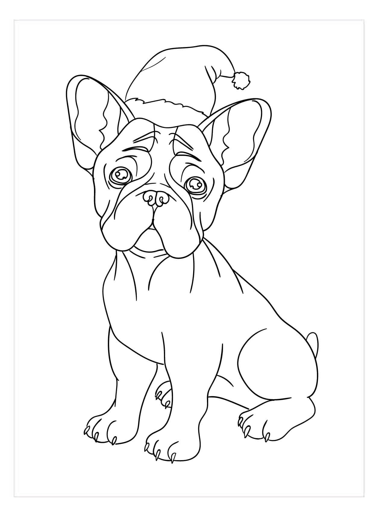 Bulldog Francés con Gorro de Papá Noel