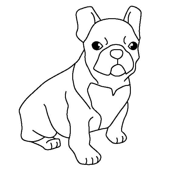 Bulldog Sentado