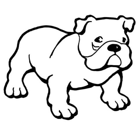 Bulldog Simple