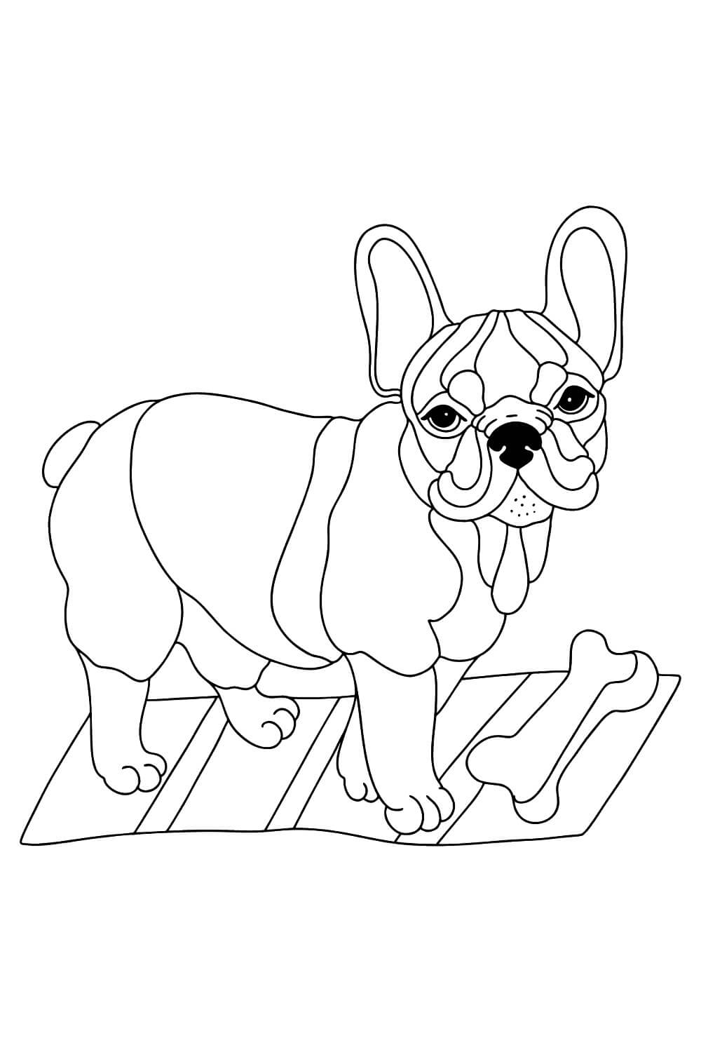 Bulldog con Hueso