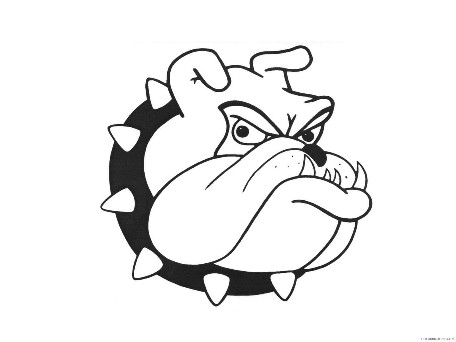 Bulldog de Cabeza Simple