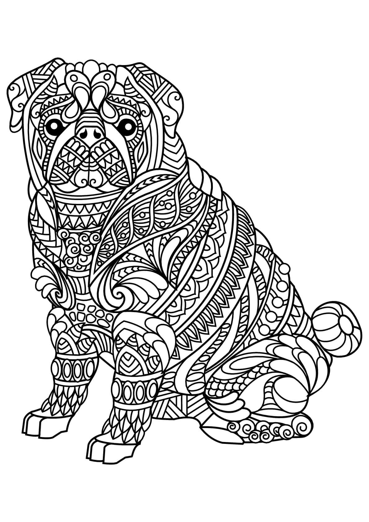 Bulldog es para Adulto