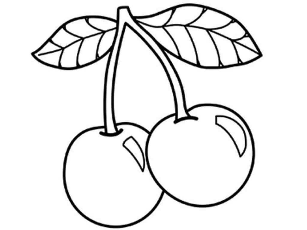 Básico Dos Cerezas