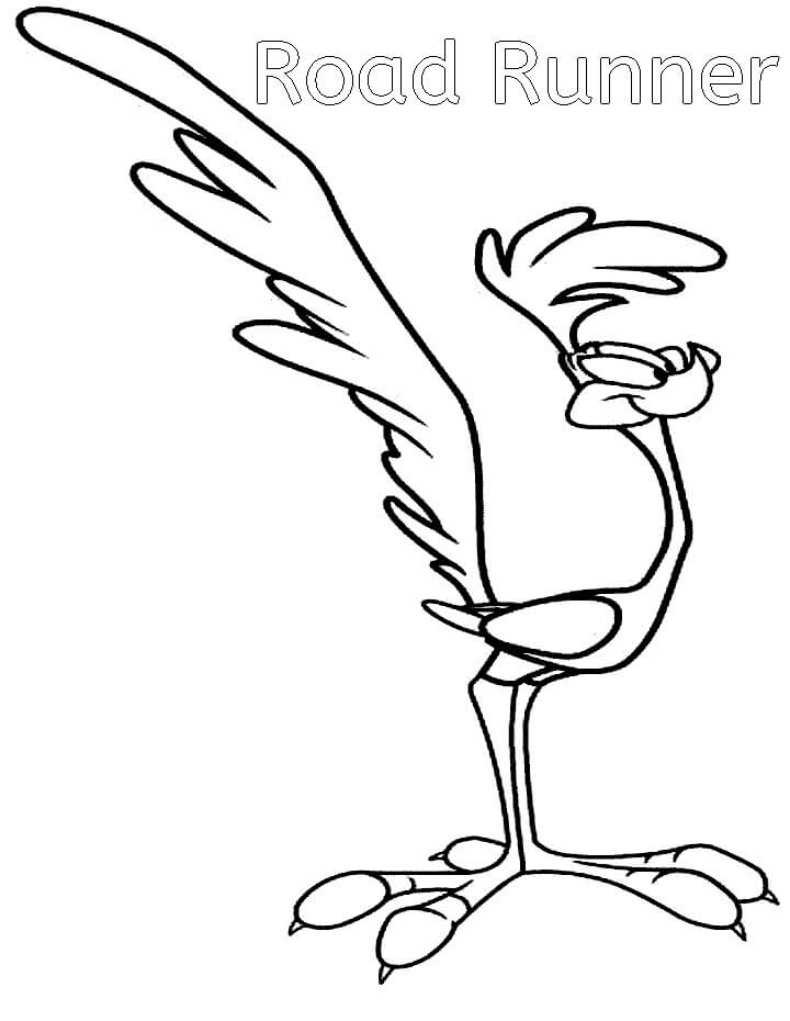 Básico Road Runner