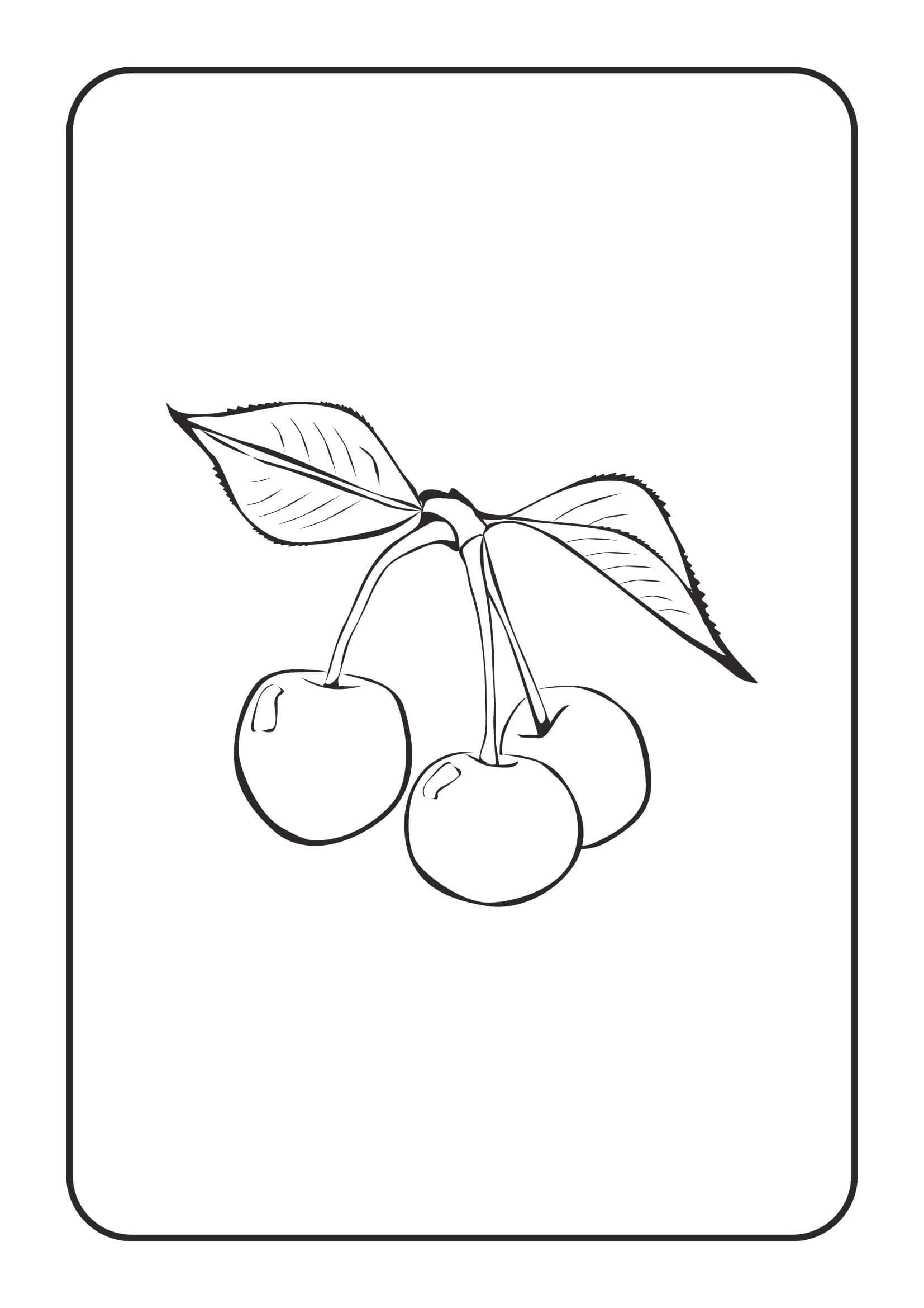 Básico Tres Cerezas