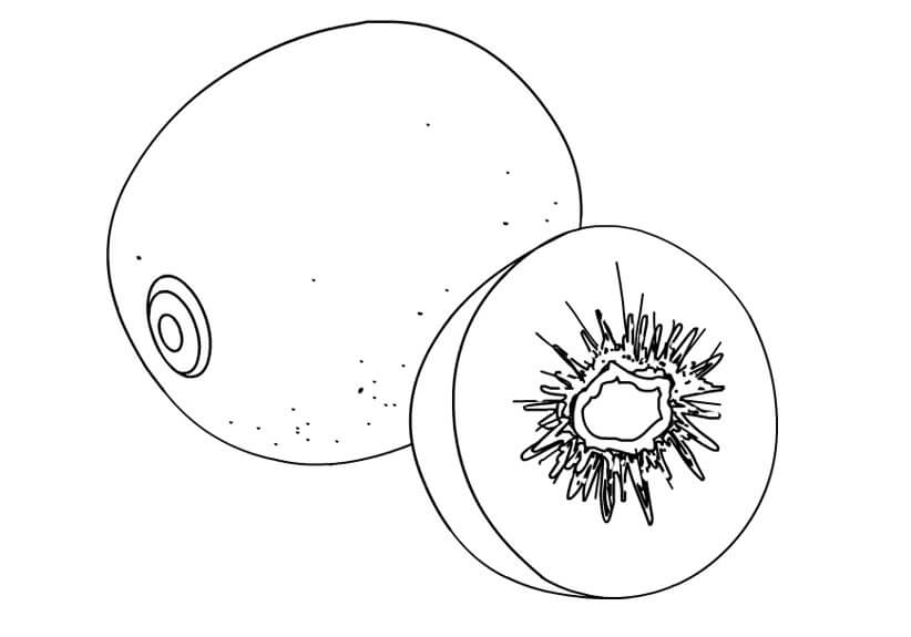 Básico un Kiwi y medio Kiwi