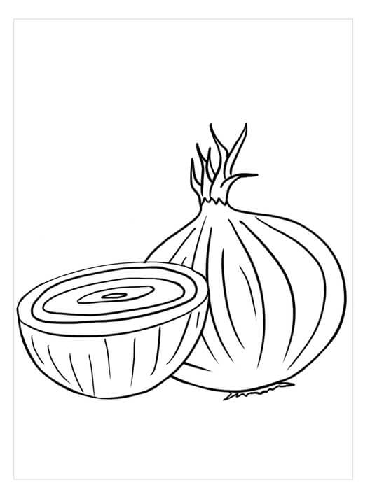 Básico una Cebolla y Media Cebolla