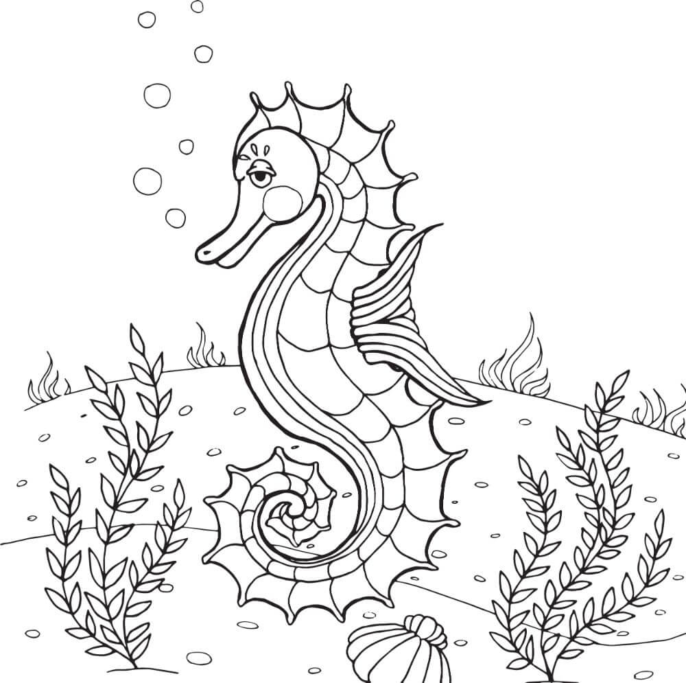 Caballito de mar Nadando
