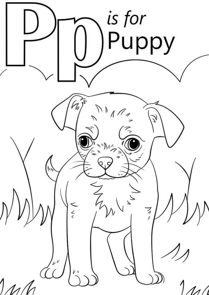Cachorro Letra P
