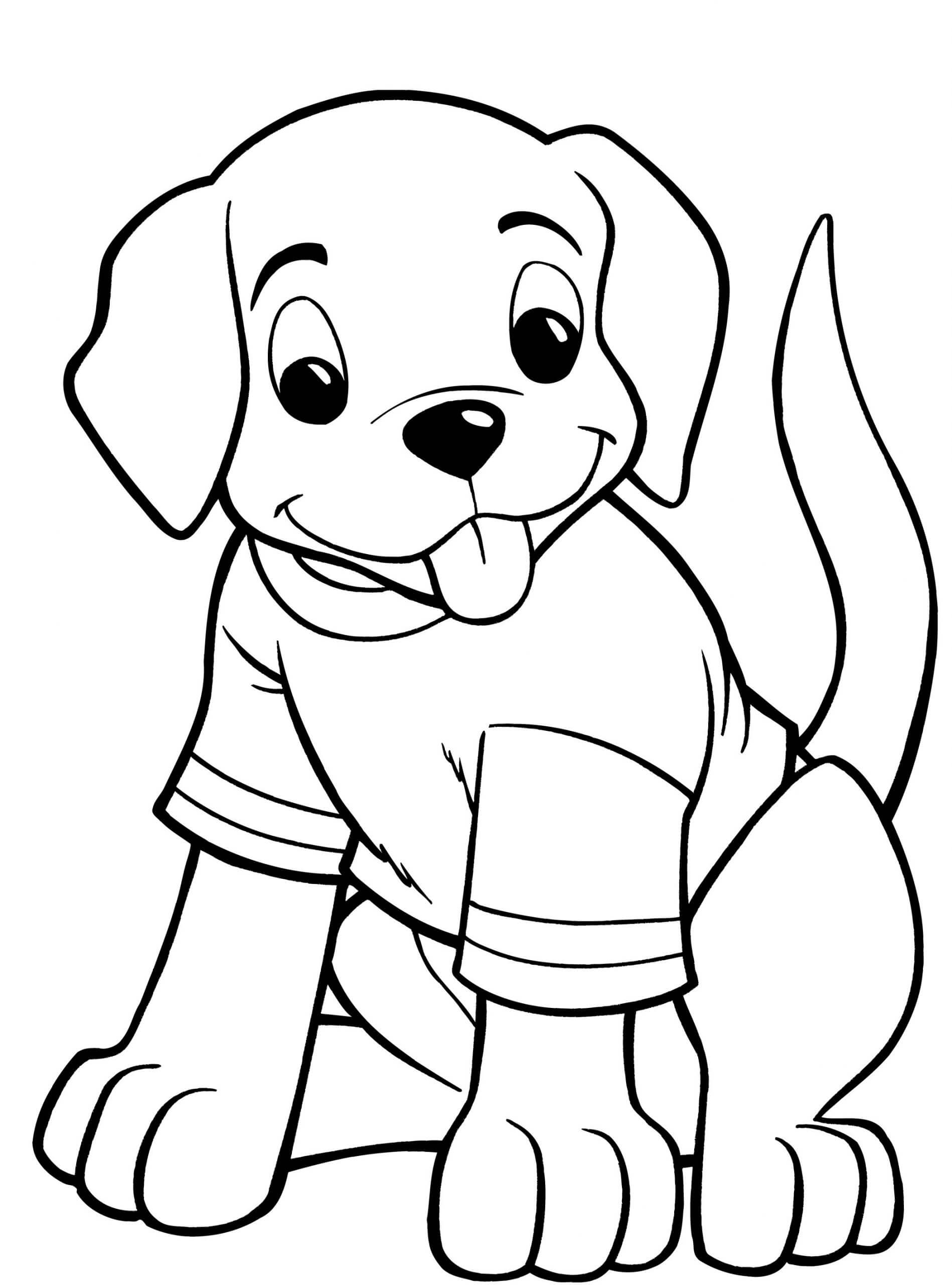 Cachorro con Camiseta