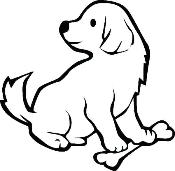 Cachorro con Hueso