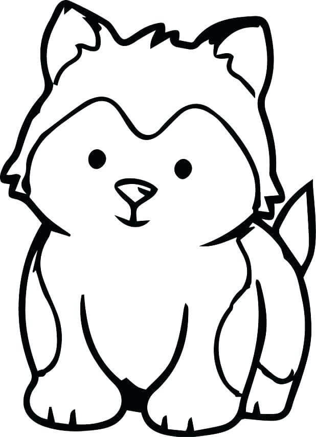 Cachorro husky
