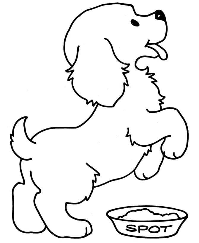 Cachorro y Comida