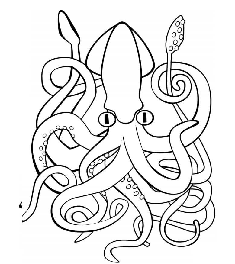 Calamar Gigante