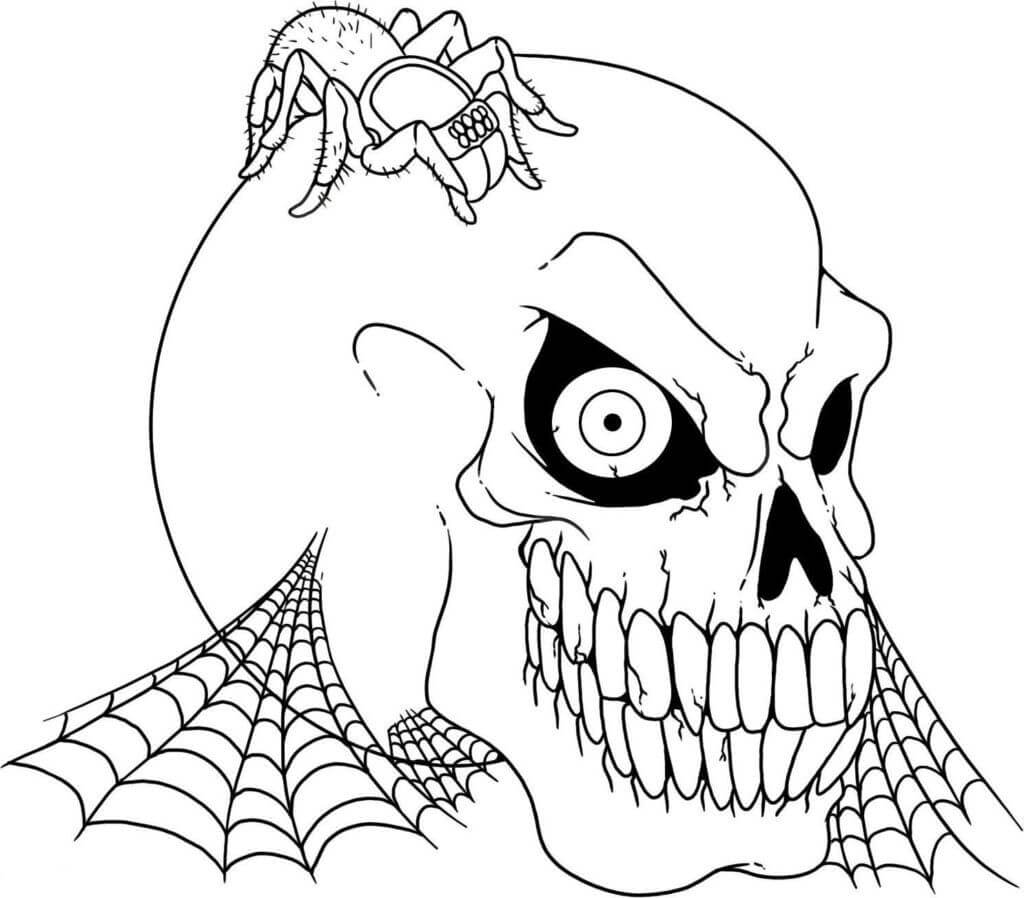 Calavera con Araña