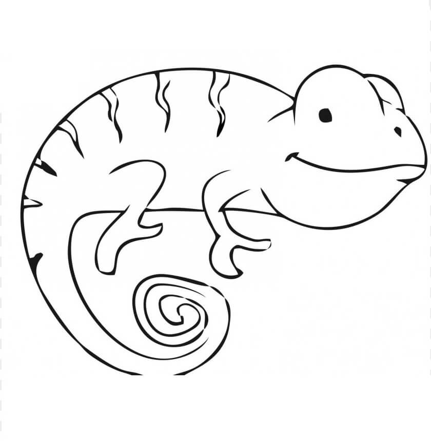 Camaleón Estúpido