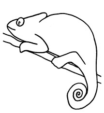 Camaleón Fácil