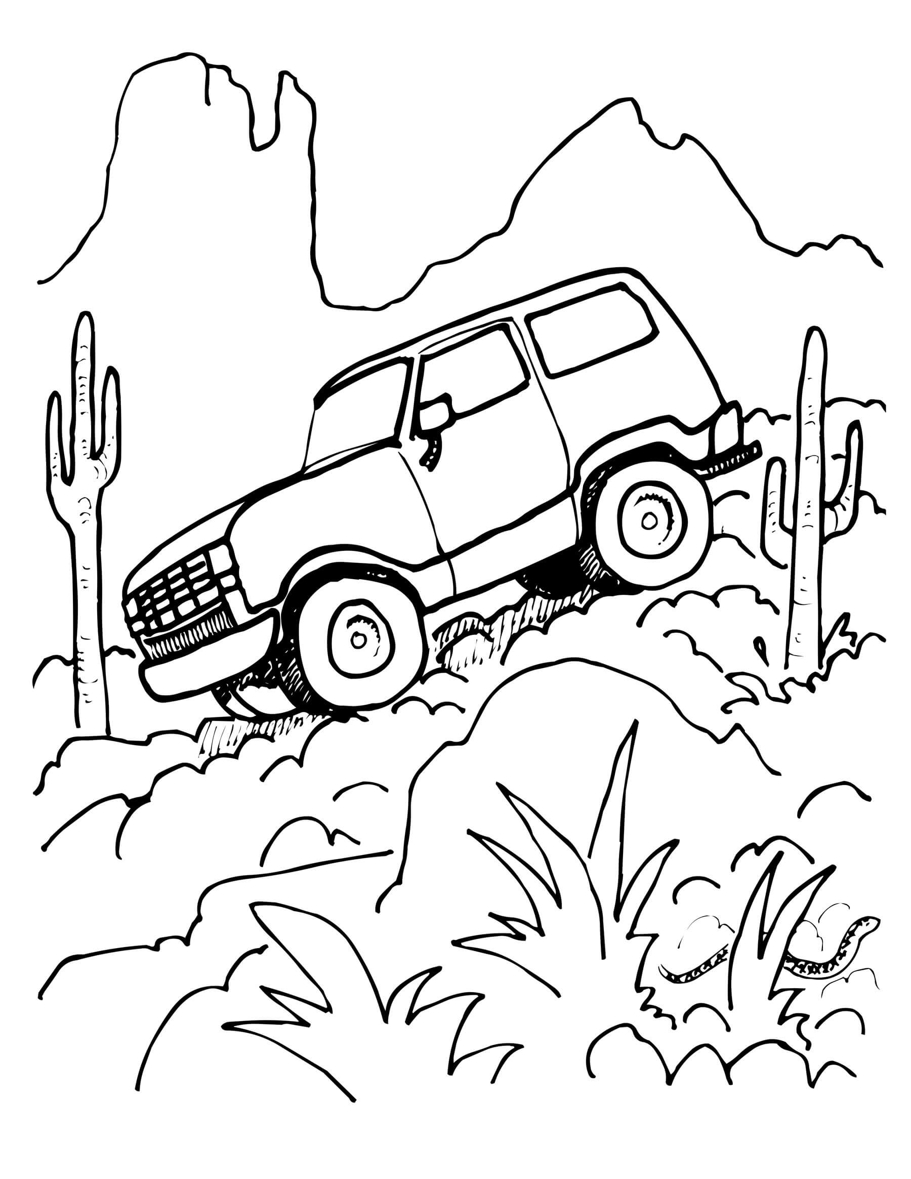 Camino en la Montaña