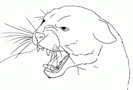 Cara Puma Enojado