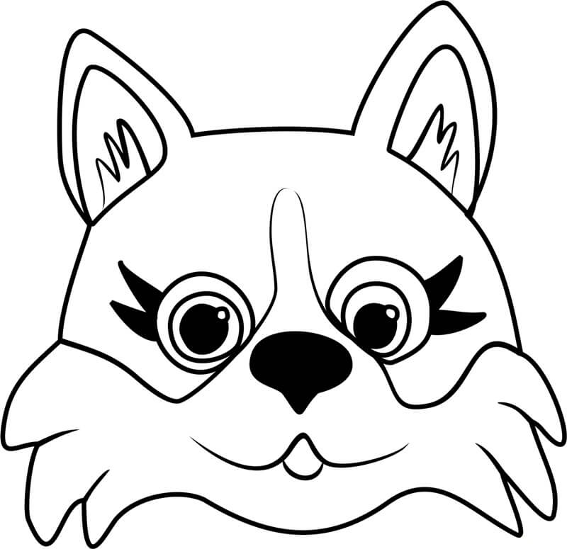 Cara de Cachorro Corgi