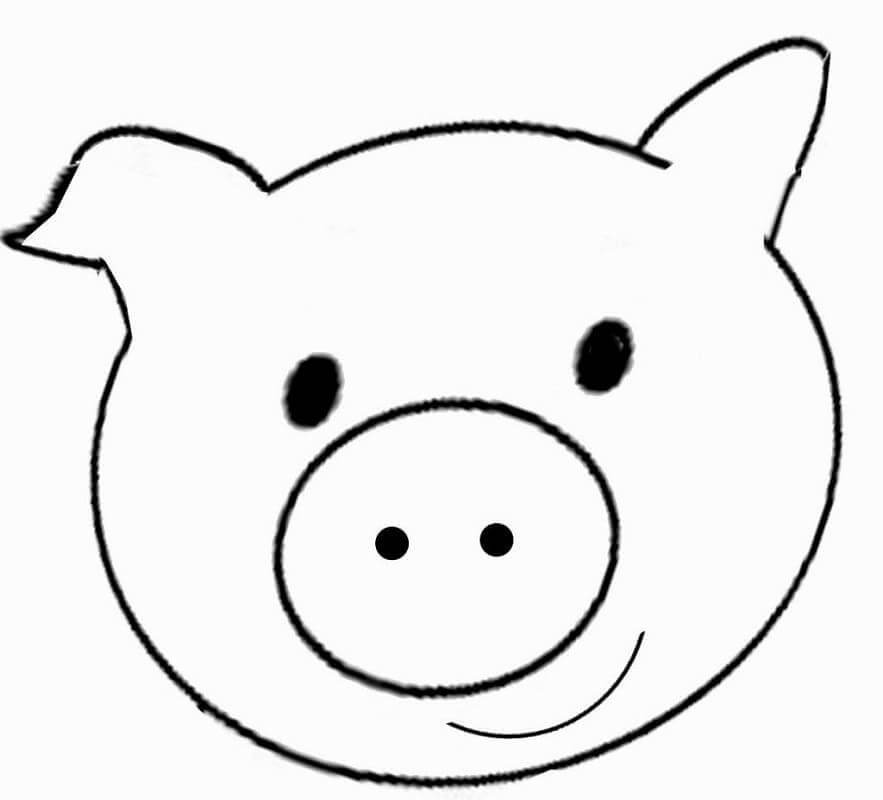 Cara de Cerdo Lindo