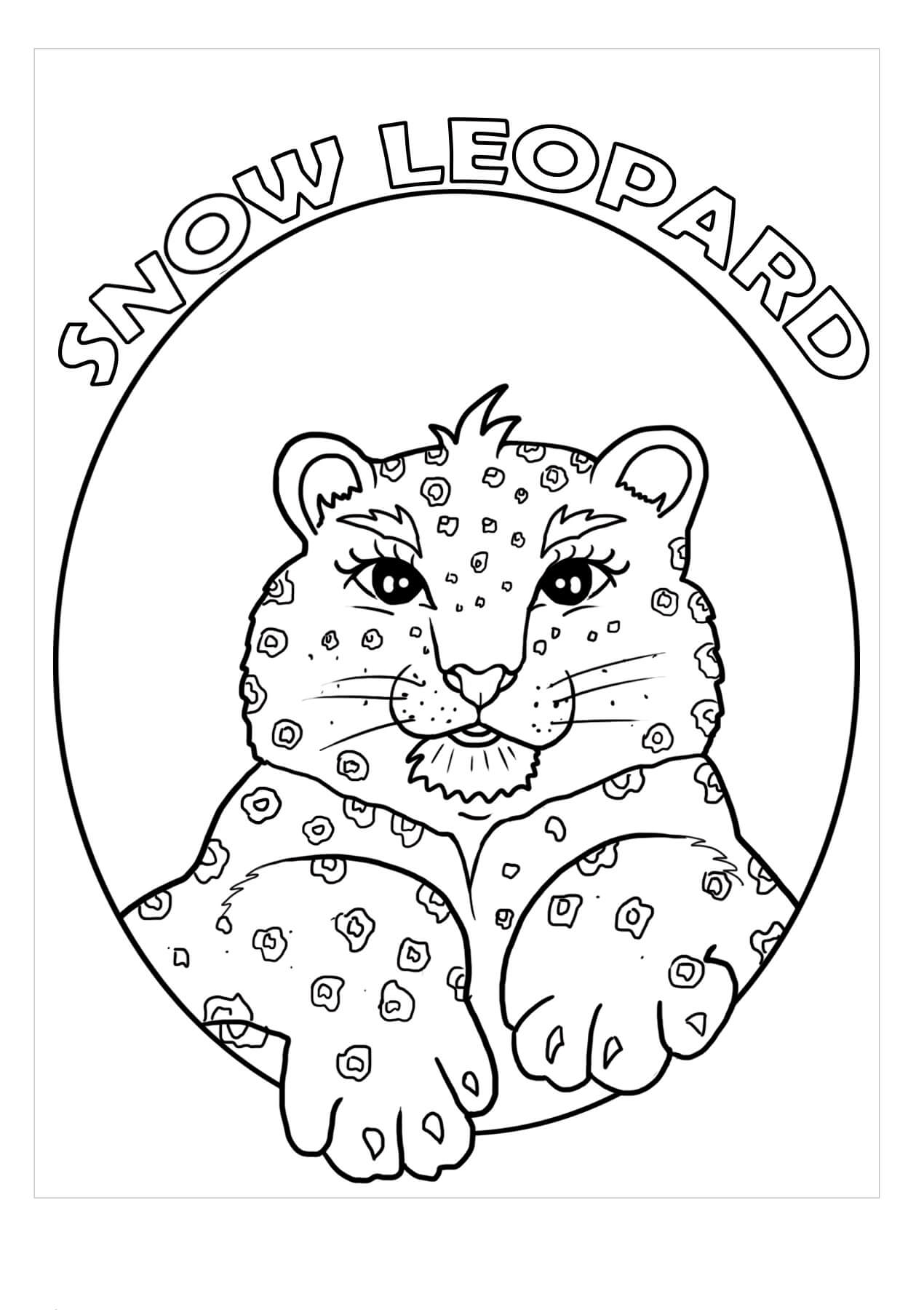Cara de Leopardo de las Nieves