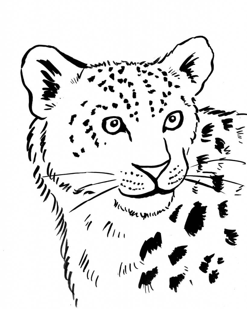 Cara de Leopardo