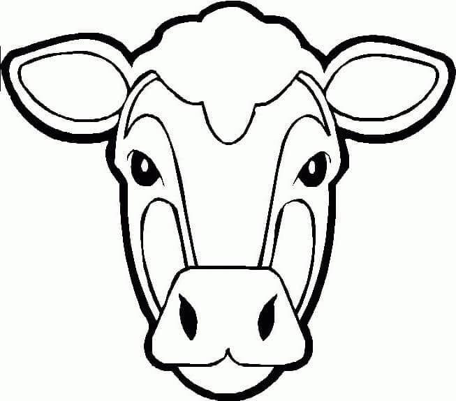 Cara de Vaca
