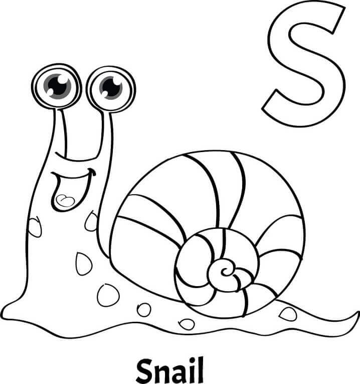 Caracol Letra S