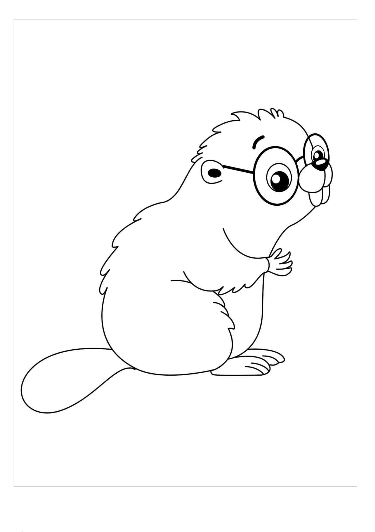 Castor Kawaii