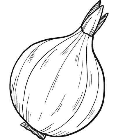 Cebolla Simple