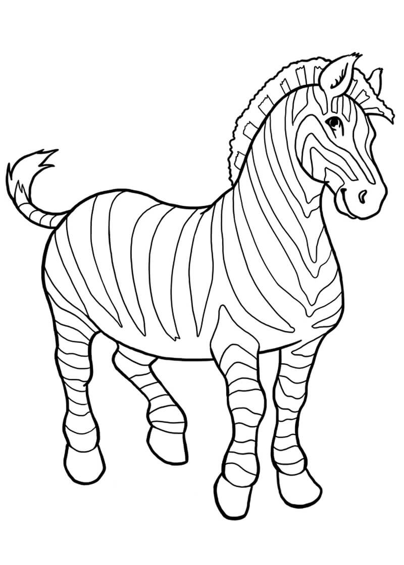 Cebra Asombrosa