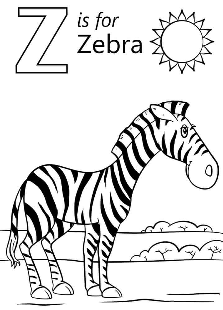 Cebra Letra Z Con Sol