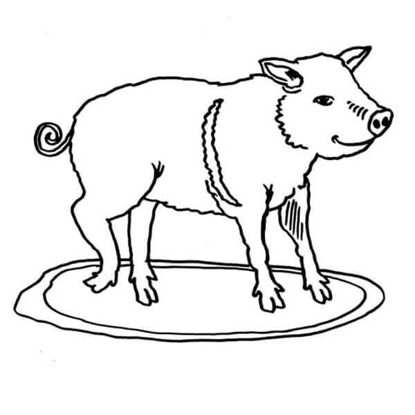 Cerdito Hambriento