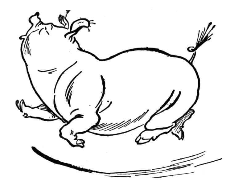 Cerdo Bailando