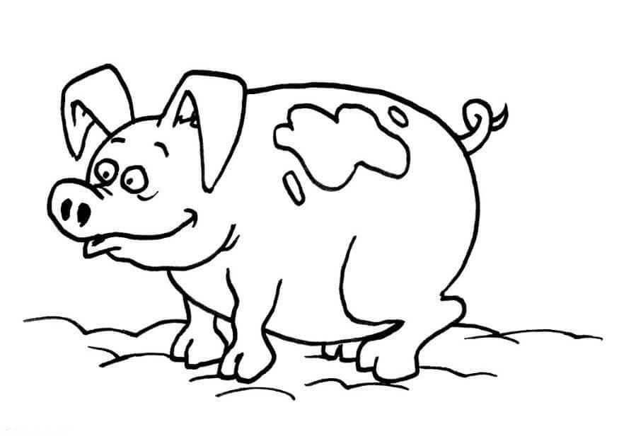 Cerdo Feo