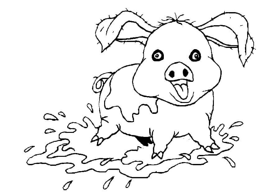 Cerdo Loco