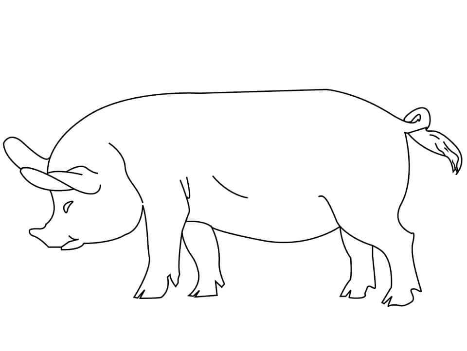 Cerdo Simple