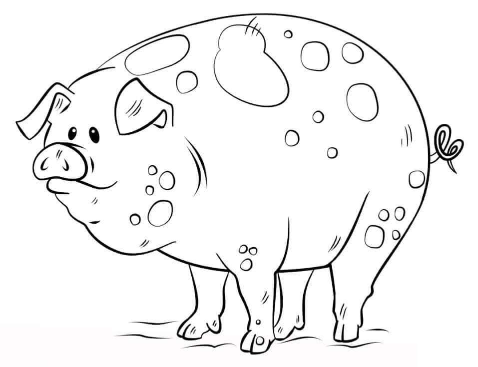 Cerdo de Dibujos Animados