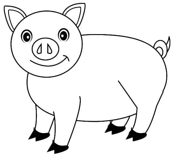 Cerdo es Feliz