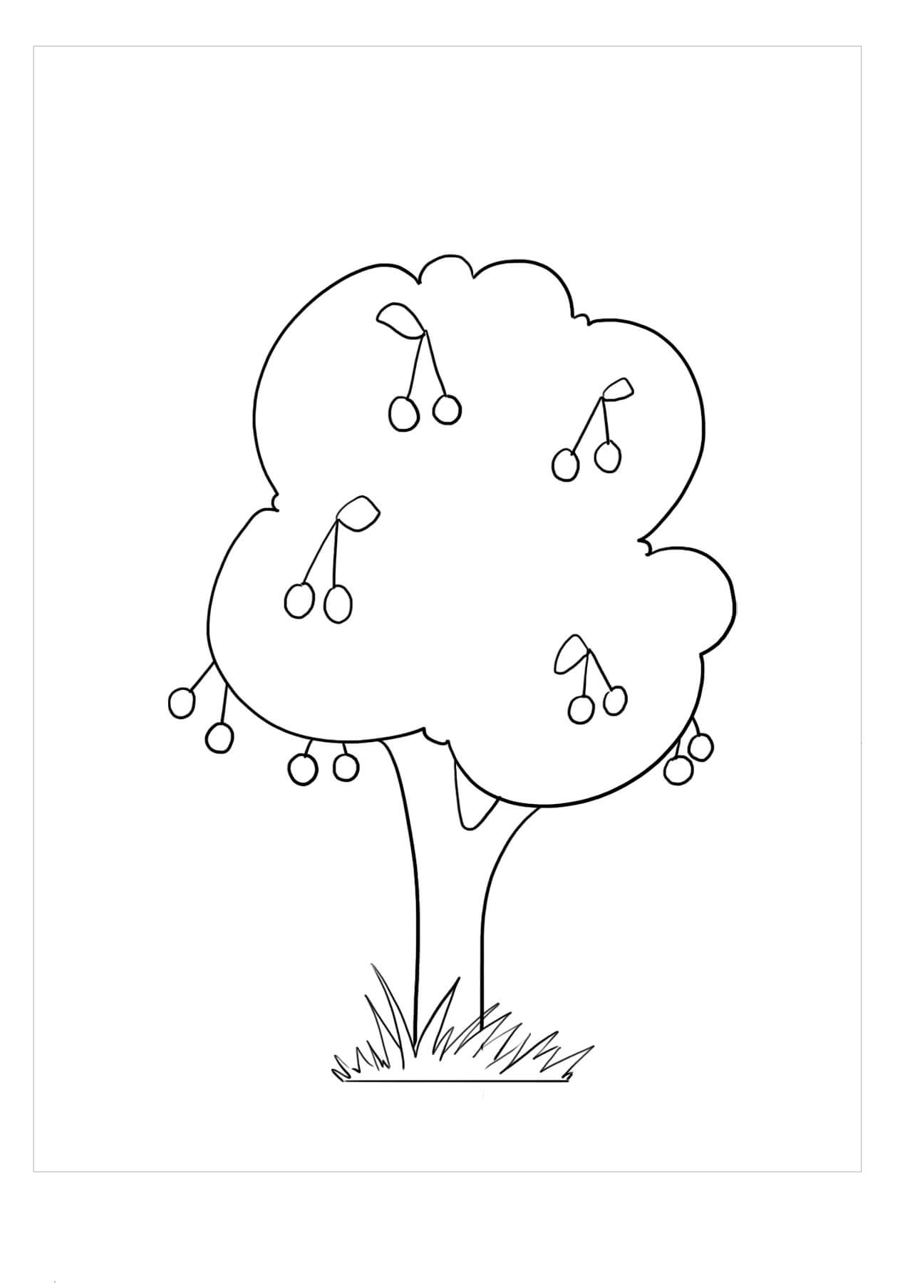 Cereza en Árbol