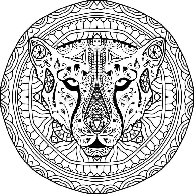 Cheetah es para Adultos