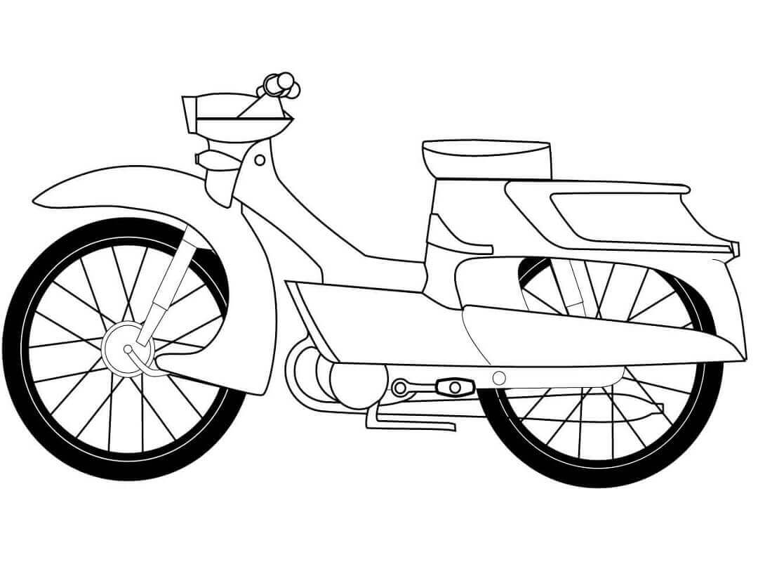 Ciclomotor
