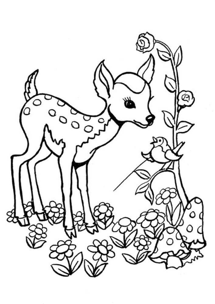 Ciervo y Flor, Pájaro