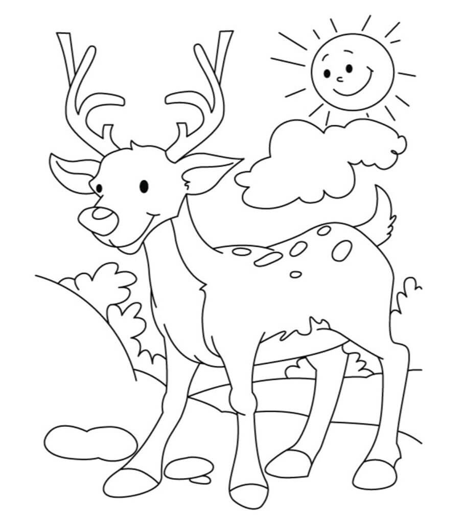 Ciervos de Dibujos Animados