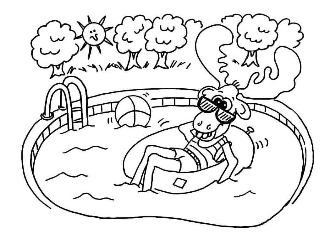 Ciervos en Piscina
