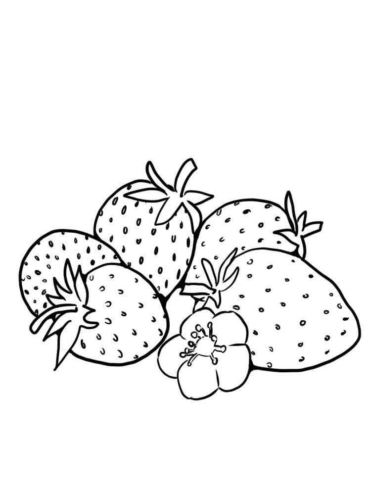 Cinco Fresas con Flor