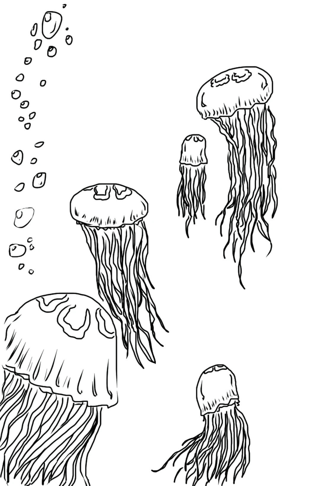 Cinco Medusas
