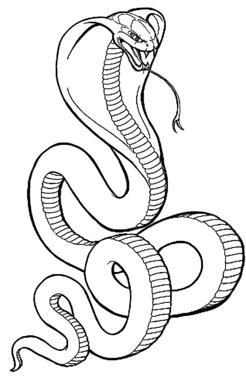 Cobra Aterradora
